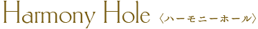 Harmony Hole(ハーモニーホール)
